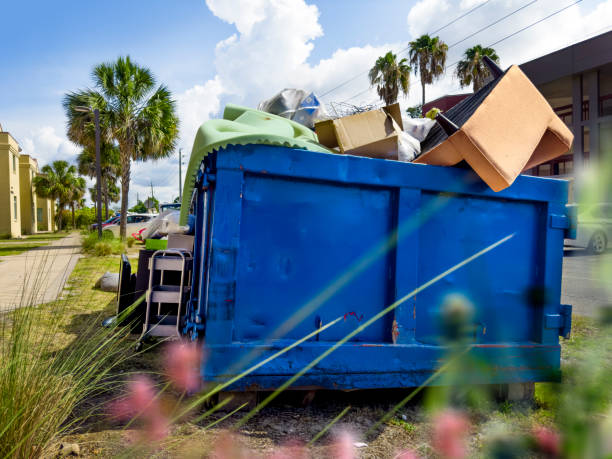 Best Specialized Junk Removal in San Ysidro, NM